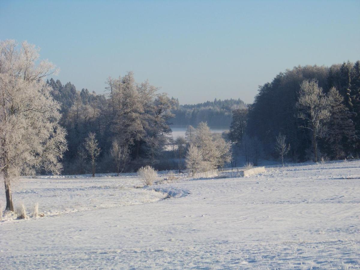 Ferienhaus Brunnenweiher Kißlegg Exterior foto